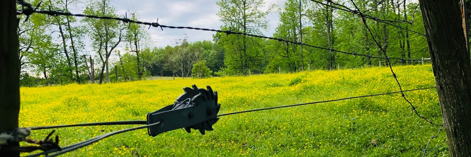 Adah Faust's banner