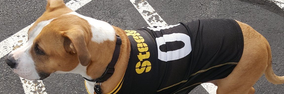 Yinzer G's banner