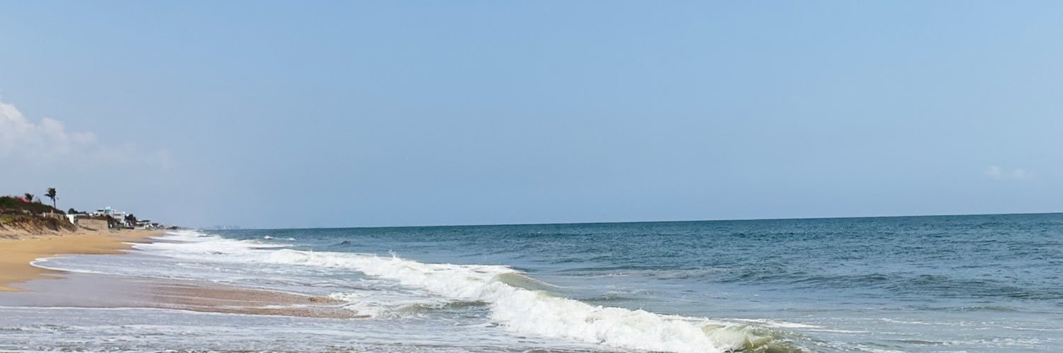 INDIAN BEAUTIES's banner