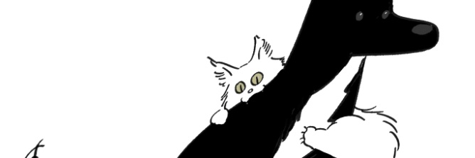 여섯시개고양's banner