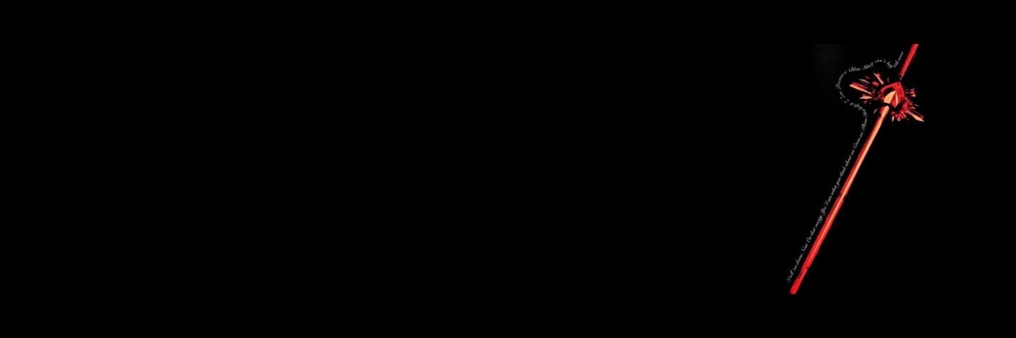 ✧🪽's banner