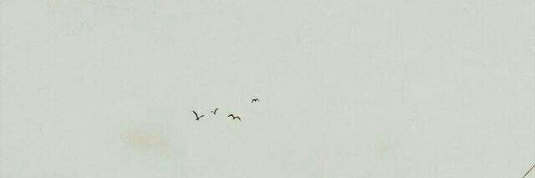 هدیٰ حسین زاده...'s banner