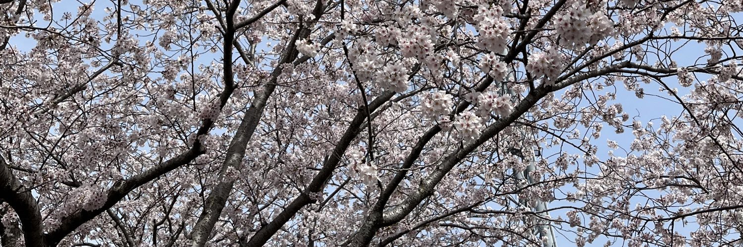 稲葉's banner