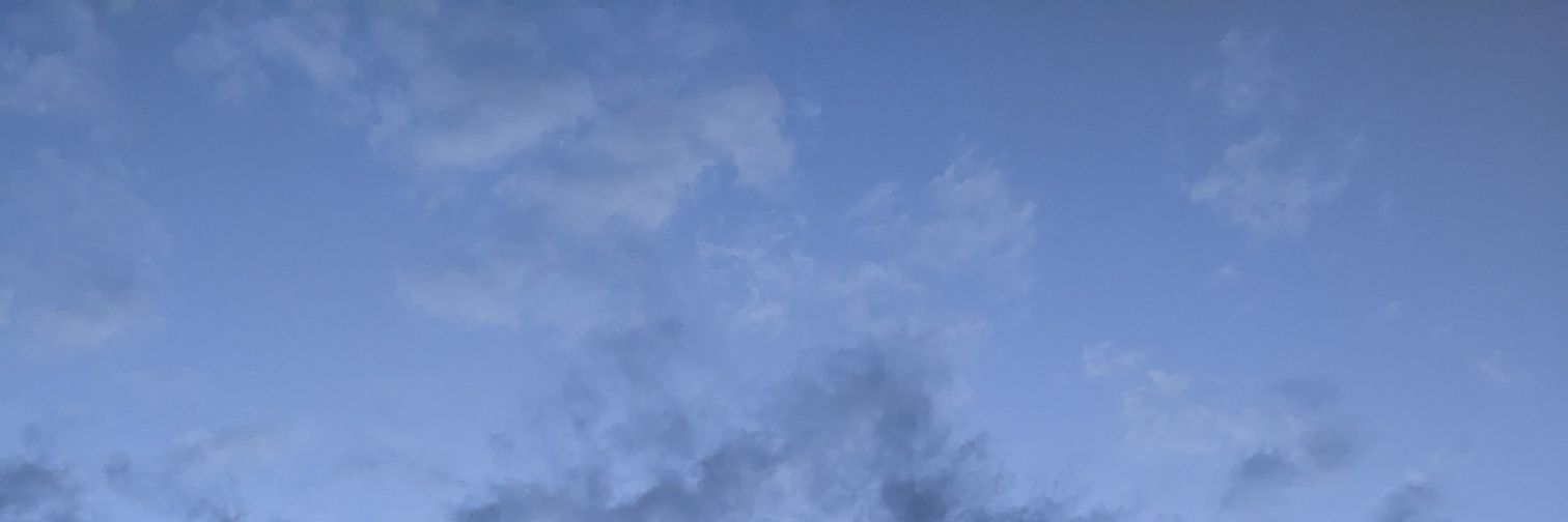 The Bulge Lover's banner