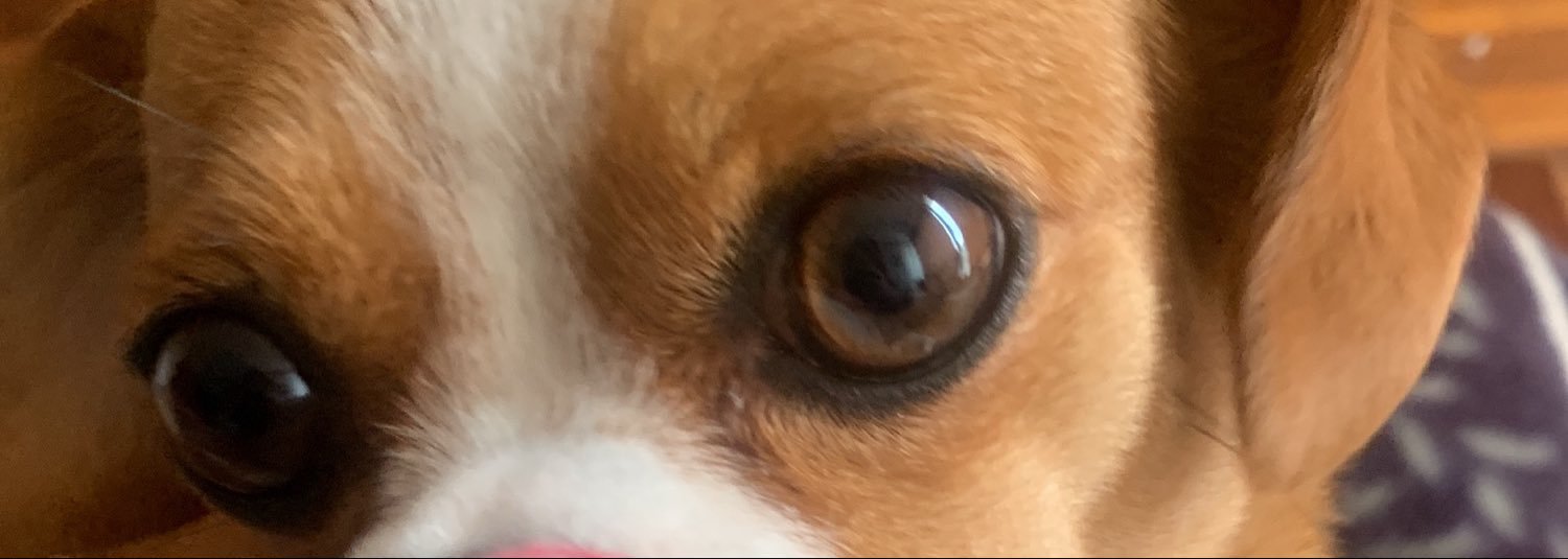 Kattycita's banner