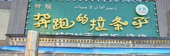 奔跑的拉条子_02's banner