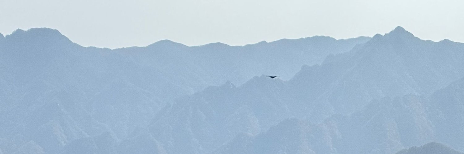 莫（加油版）'s banner