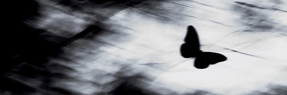 念's banner