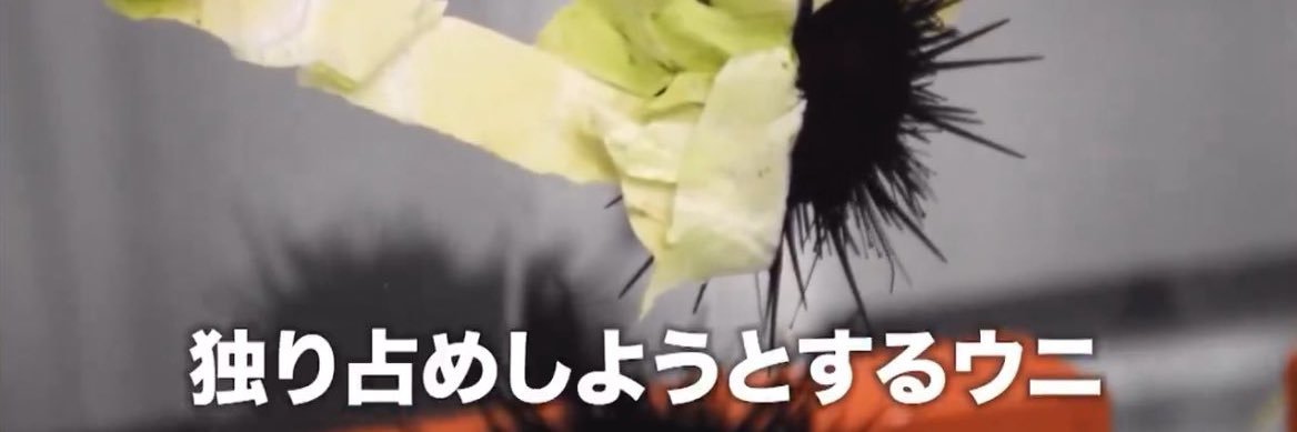 俺です's banner