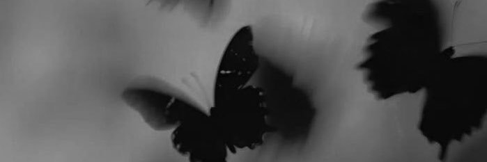❥ Feroxity's banner