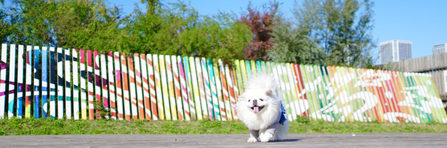 ふわふわ♡わたちゃん's banner