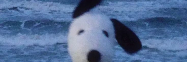 J ☆'s banner
