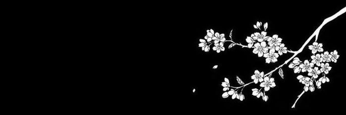 Brittany Willow 🩶's banner
