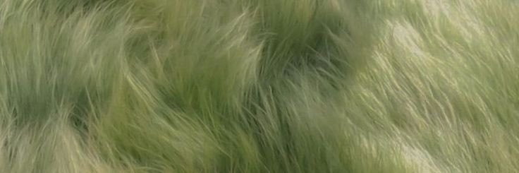⁷₂²'s banner