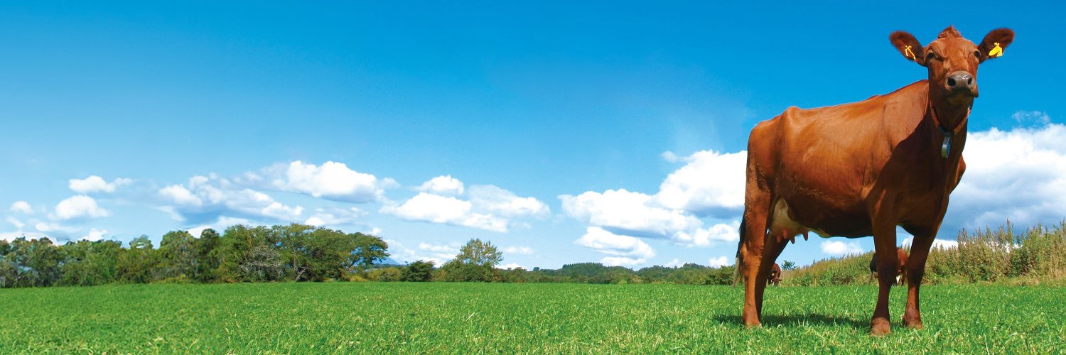 株式会社牧家's banner