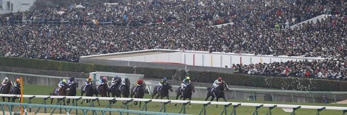 （一社） 中山馬主協会's banner