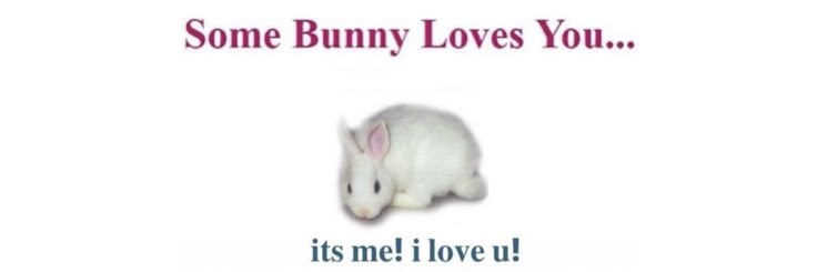 bnuy ♡'s banner