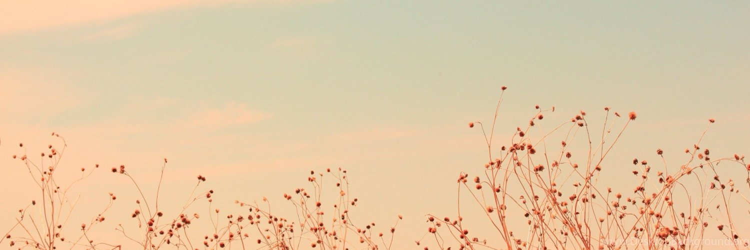 Elena Petrova's banner
