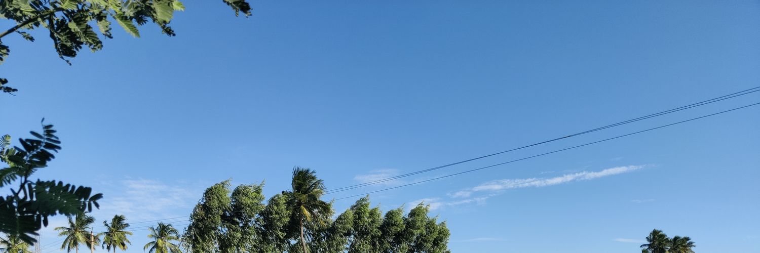 `'s banner