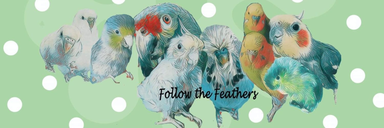 The feathers's banner