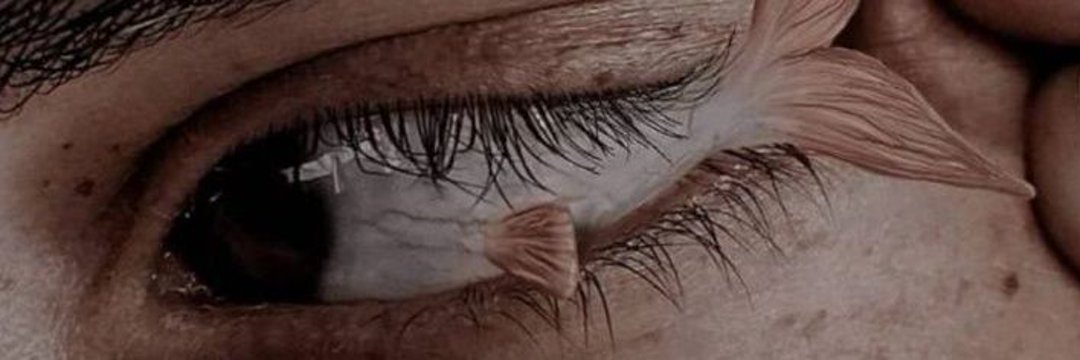 sara's banner