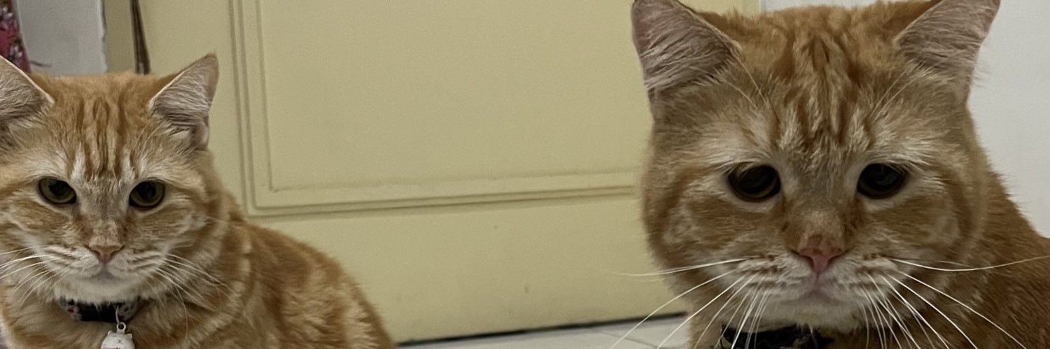 Adung & Imut 🐈's banner