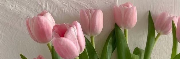 *﹆🄺🄸🅃🅃🅈 εїз 🌷ෆ 🎀ᐧ༚̮ᐧ's banner