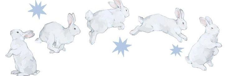 ava's banner