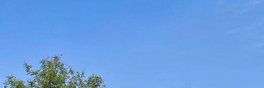 Jaanvi🤍's banner