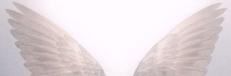 rei 🪽's banner