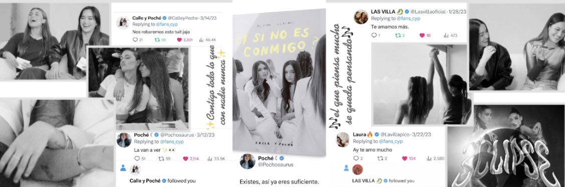 𝐼𝑛𝑔𝑟𝑖𝑑 ♡︎ || calle y poche's banner