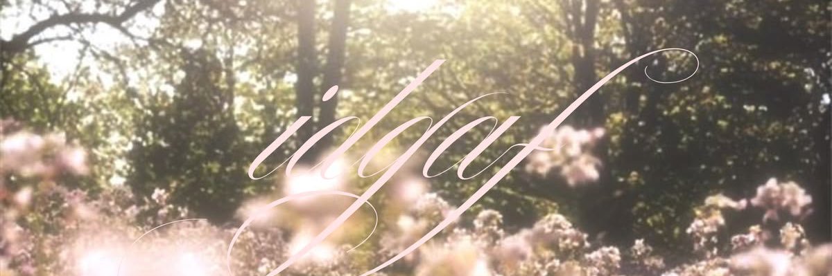tee⋆𐙚˚⊹♡'s banner