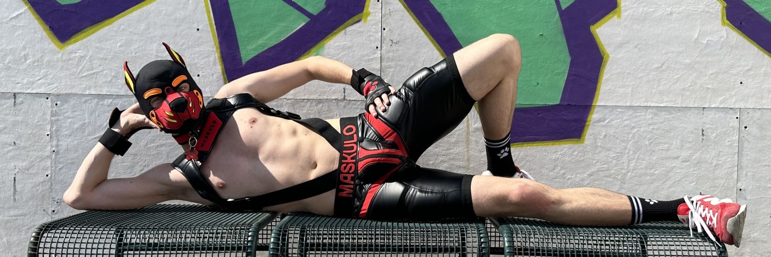 Pup Roger 🔜 Fagtory 🇦🇹 Graz's banner