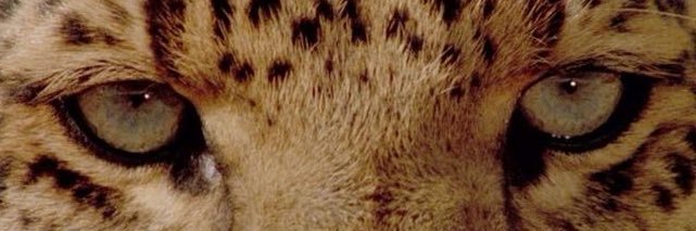 chatly ୨୧'s banner