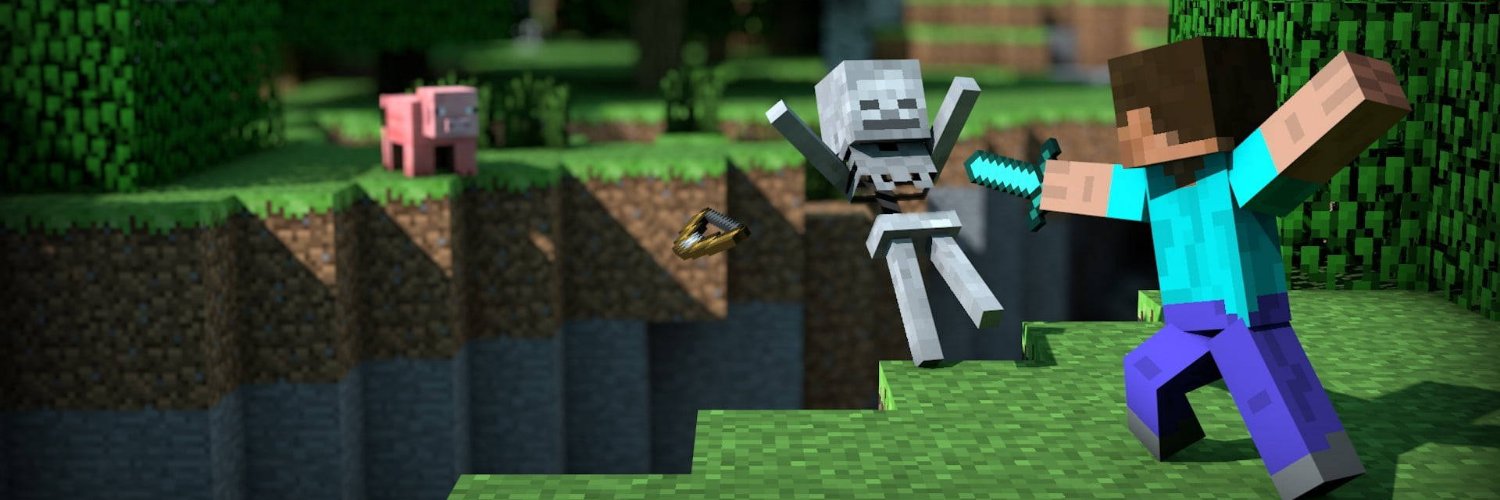 Steve Lab's banner