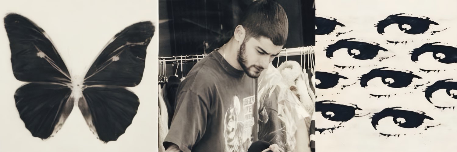 ve⋆.˚'s banner