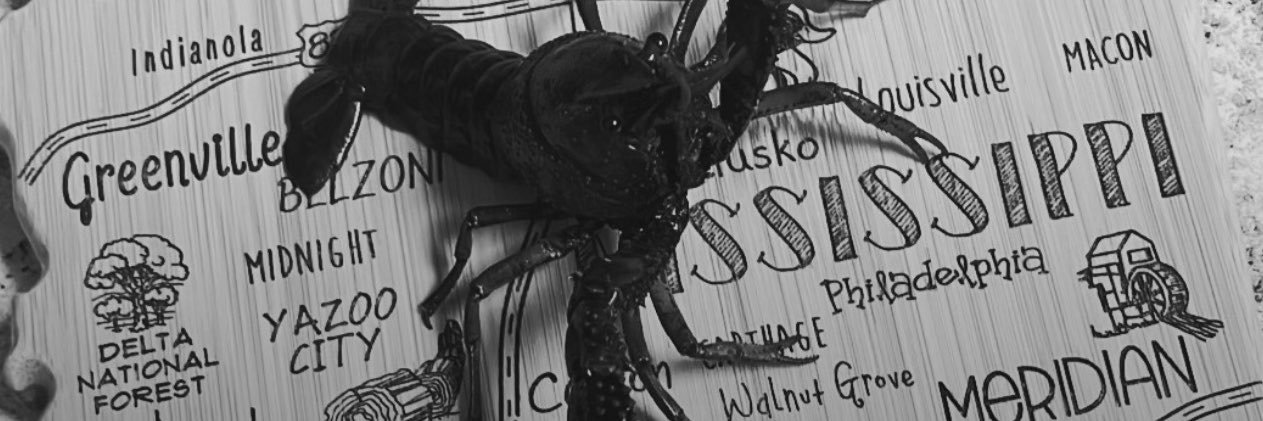 Chance Causey's banner