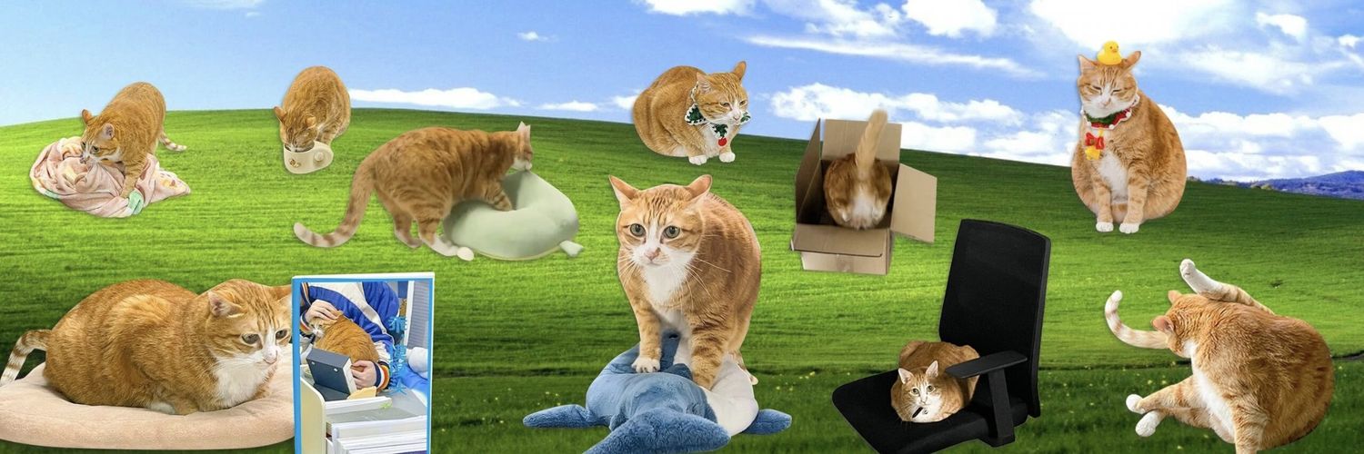 猿子's banner