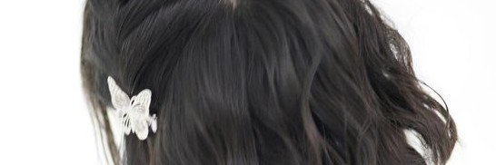 Raia's banner