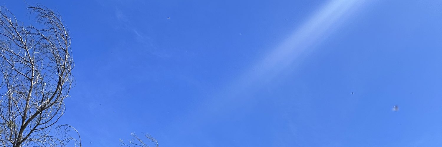 Ekin Su's banner