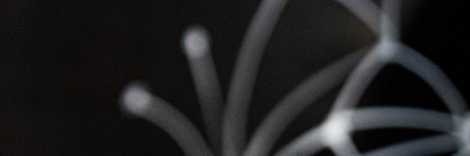 Raphael Schaad's banner