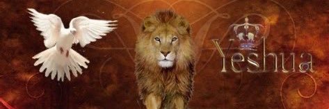 Lioness Deb's banner