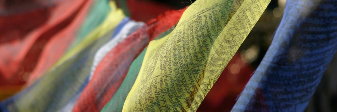 Koen Frans's banner