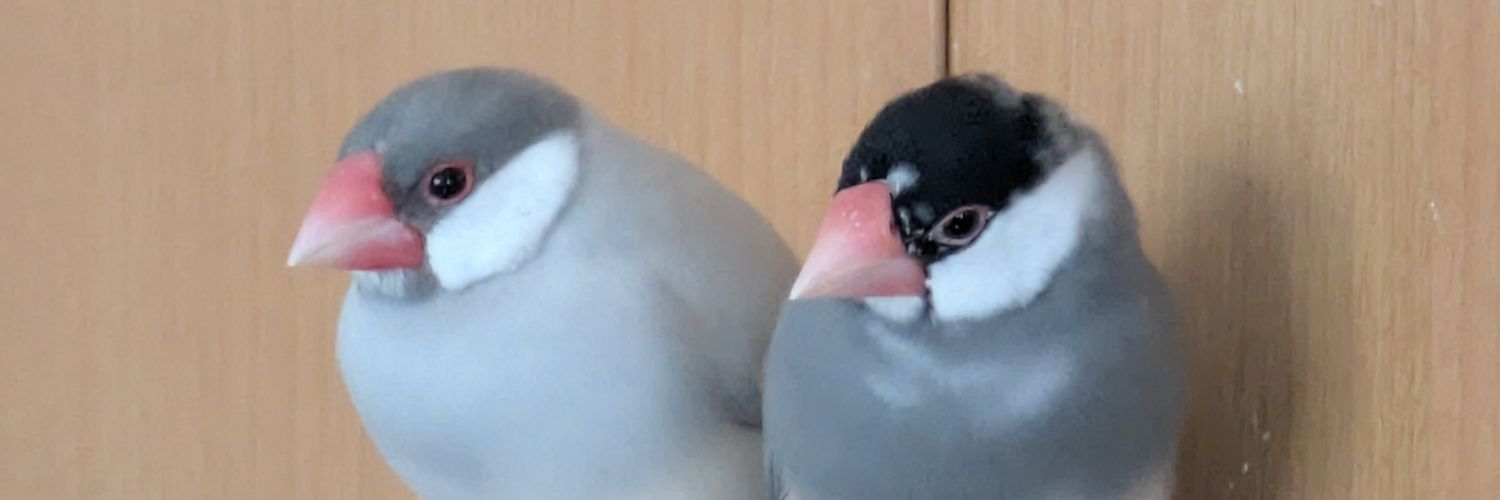 たまごやきうどん's banner