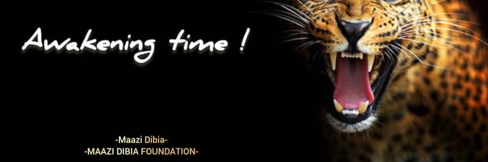 Maazi Dibia Foundation's banner