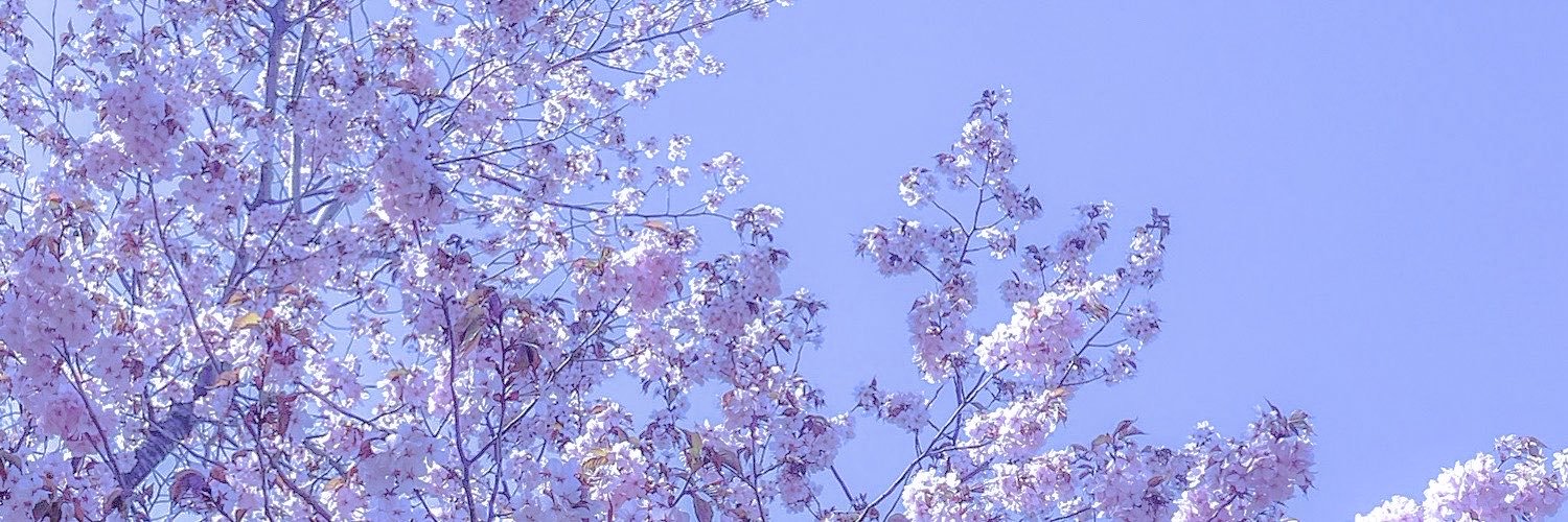 もかねこ's banner