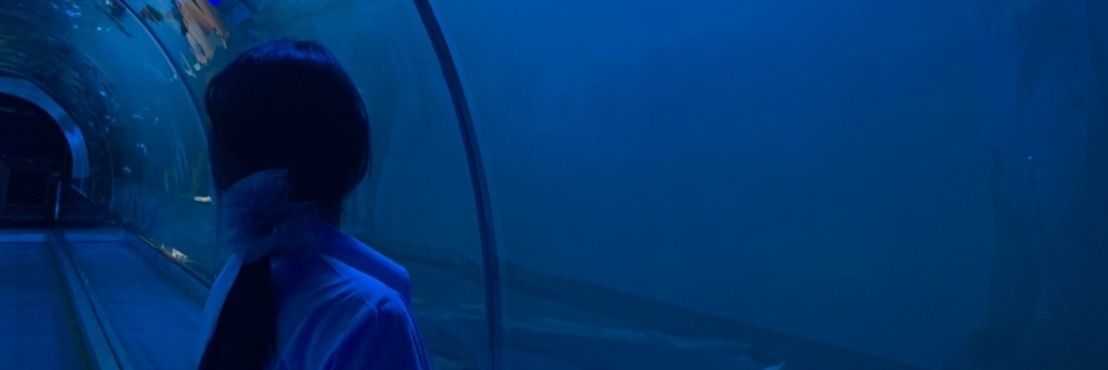Im.farohh🤍🤏🏻's banner