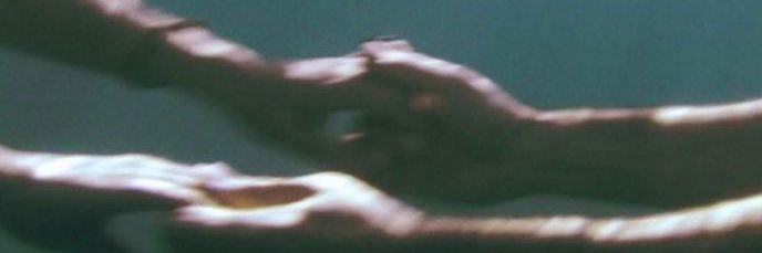Ling's banner