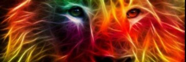 Ma_Campelo's banner