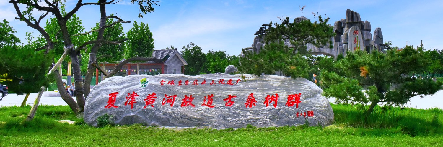 中国夏津's banner